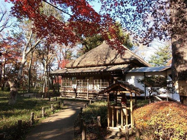 🌳 갈대꽃 늘봄 동산(로카코슌엔) 이미지 1